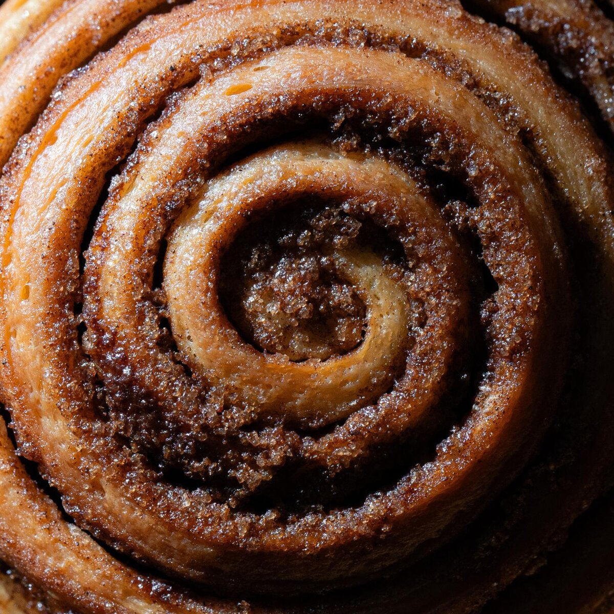 Sinamon bakery fresh cinnamon rolls